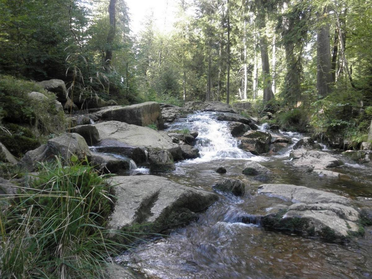 Gaestehaus Mea Vota Braunlage Exteriör bild