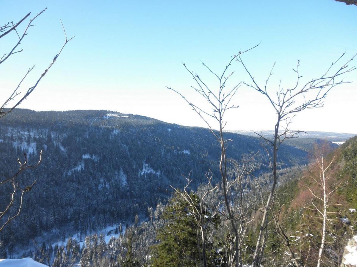 Gaestehaus Mea Vota Braunlage Exteriör bild